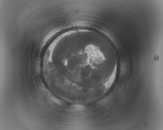 X0000112530878200909141245