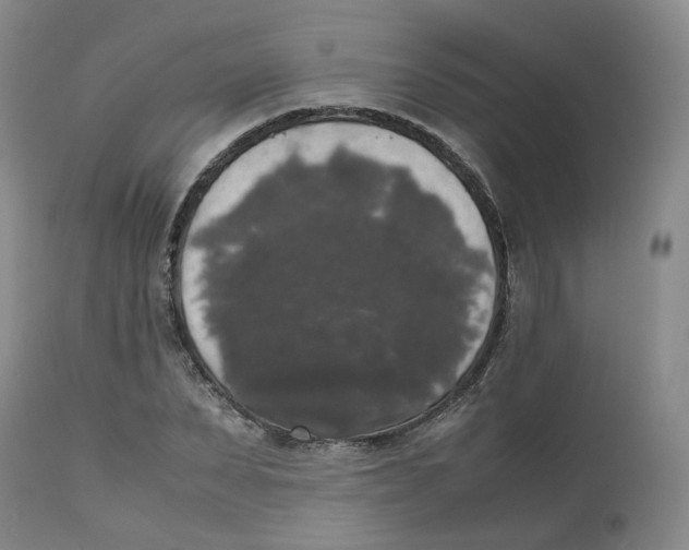 X0000112530879200909141245