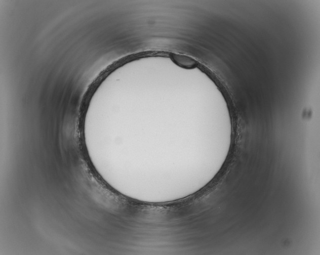 X0000112530880200909141245