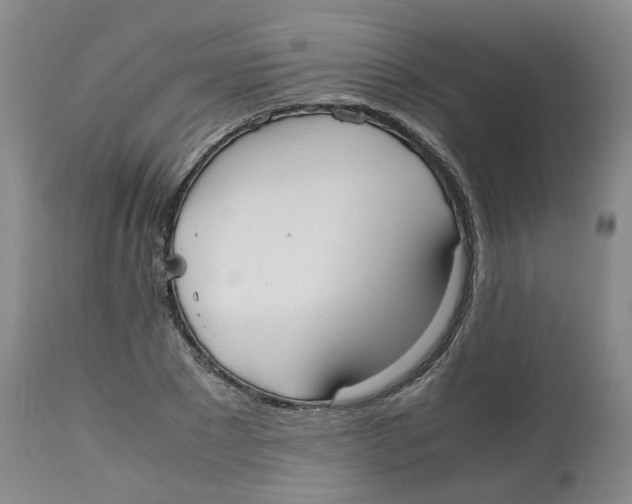 X0000112530881200909141245