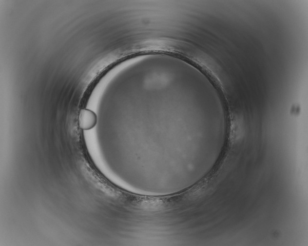 X0000112530882200909141245