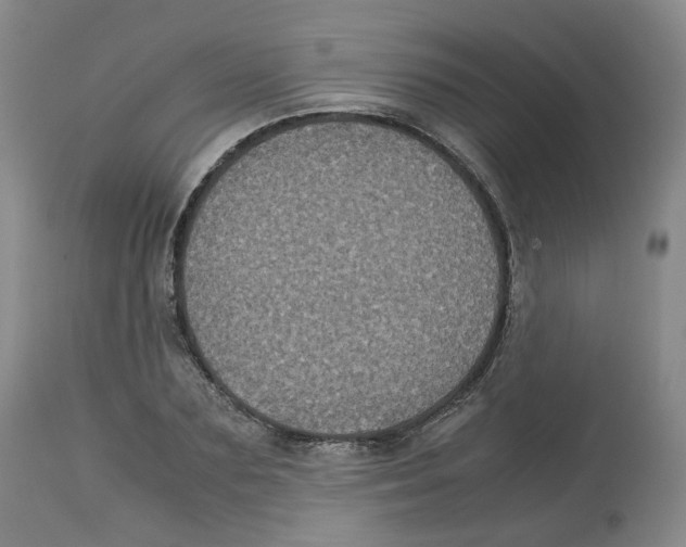 X0000112530883200909141245