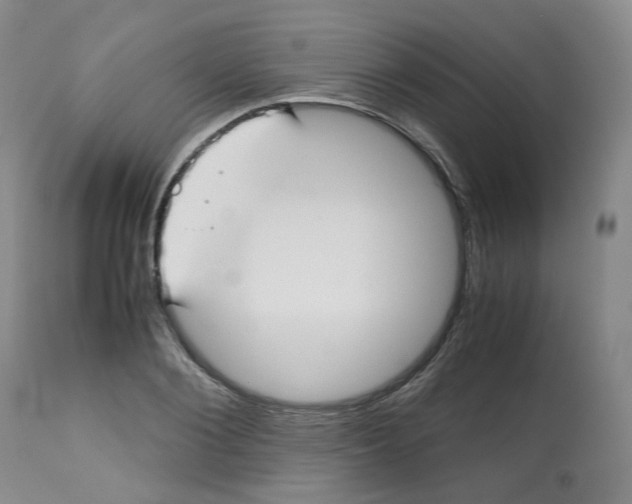 X0000112530884200909141245