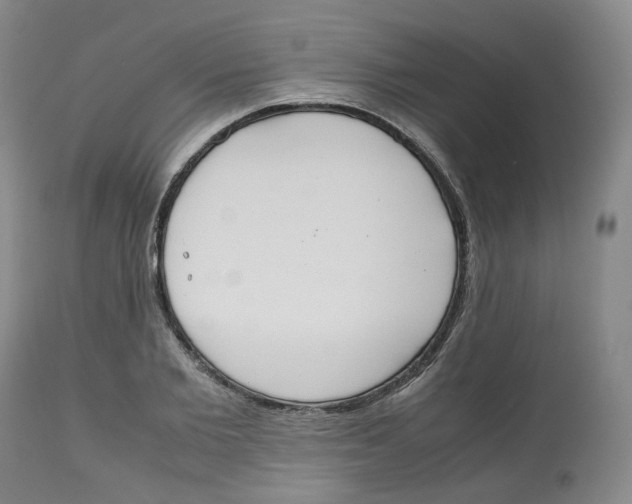 X0000112530885200909141245