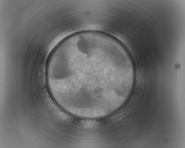 X0000112530886200909141244