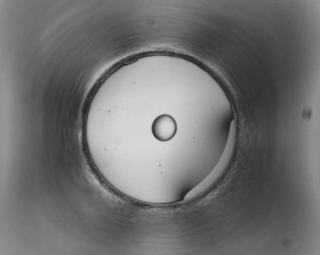 X0000112530888200909141244