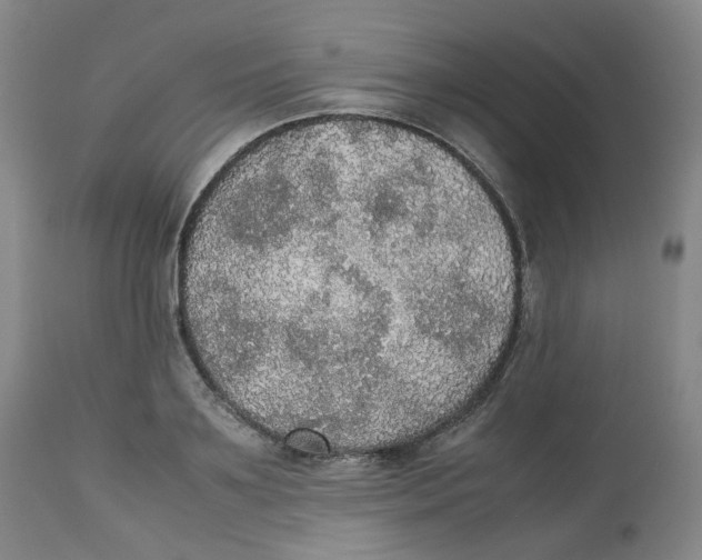 X0000112530891200909141244