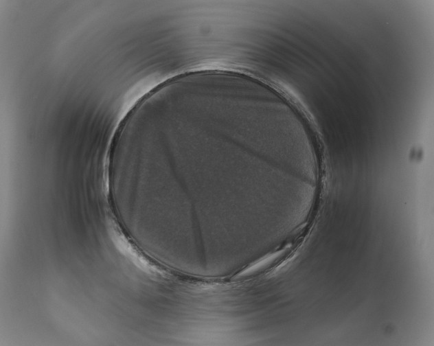 X0000112530892200909141244