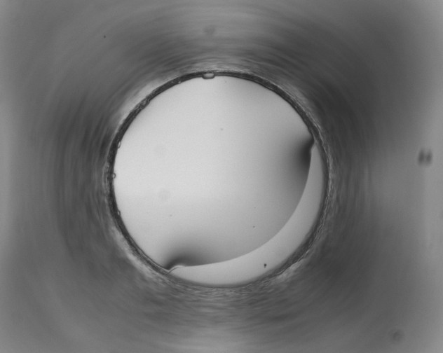 X0000112530893200909141244