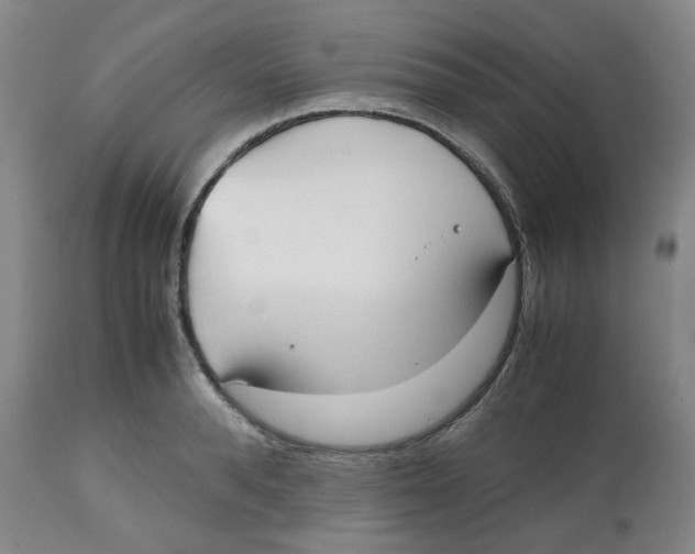 X0000112530896200909141244