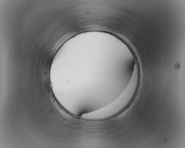 X0000112530897200909141244