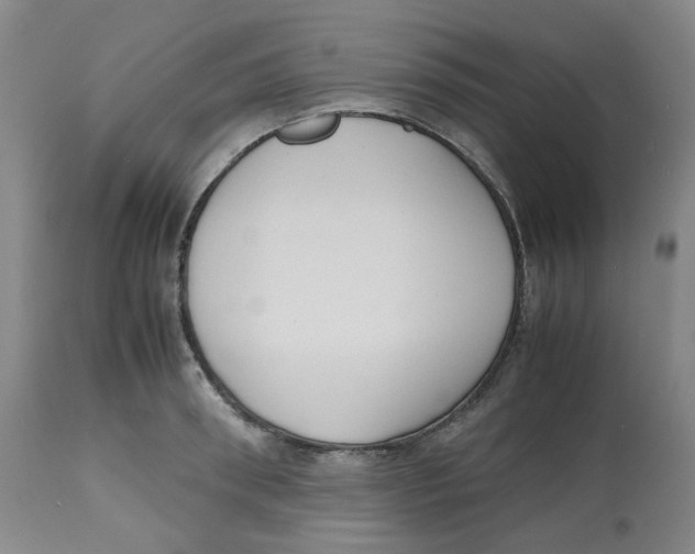 X0000112530898200909141244