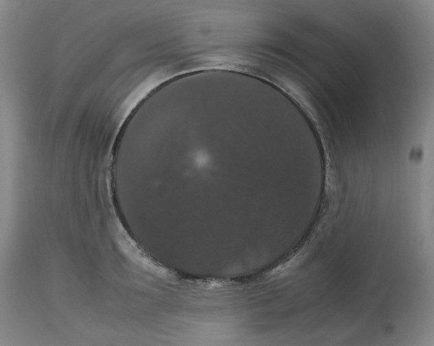 X0000112530899200909141244