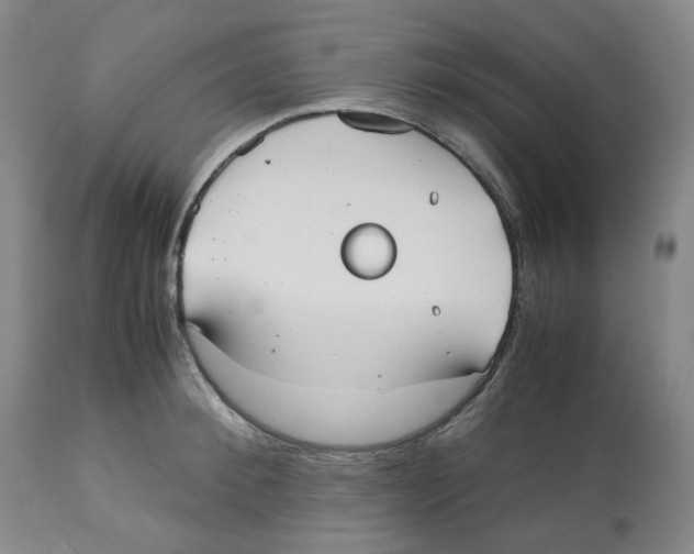 X0000112530900200909141244