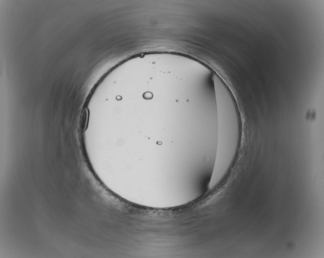 X0000112530901200909141244