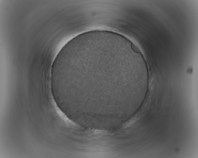 X0000112530903200909141244