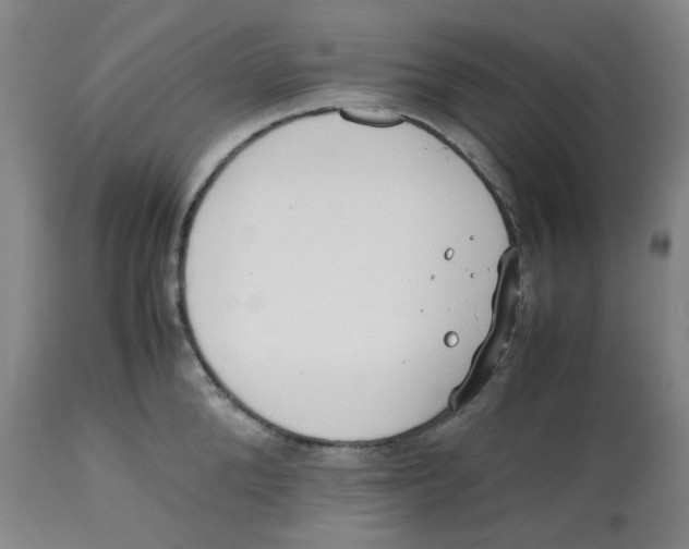 X0000112530904200909141244