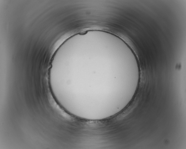 X0000112530906200909141244