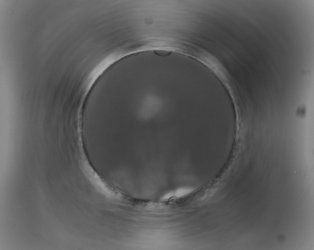 X0000112530907200909141244