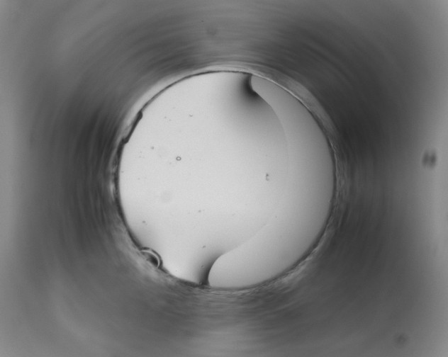 X0000112530908200909141244