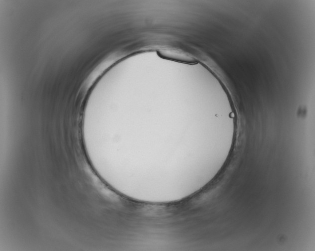 X0000112530909200909141244