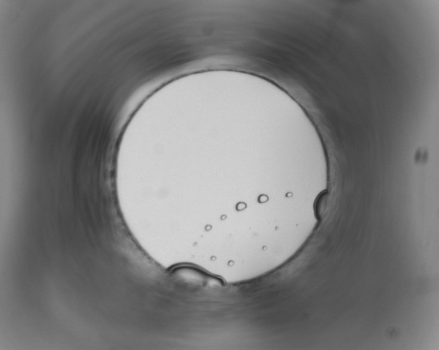 X0000112530912200909141244