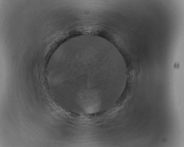 X0000112530913200909141243