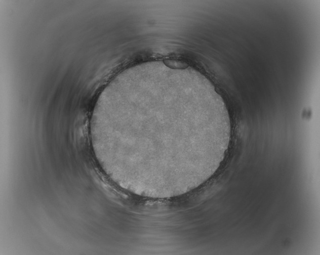 X0000112530914200909141243