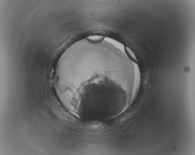 X0000112530916200909141243