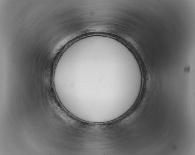 X0000112530922200909141243