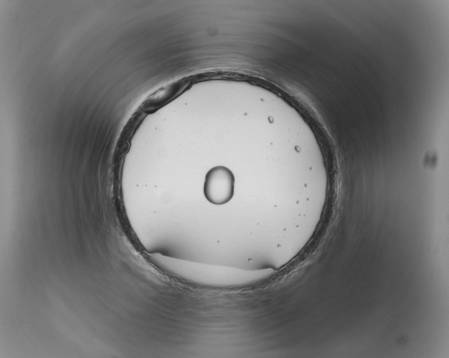 X0000112530924200909141243