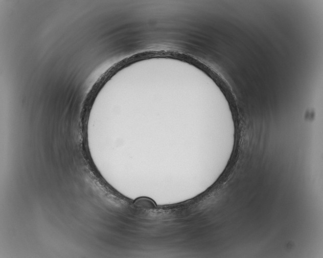 X0000112530927200909141243