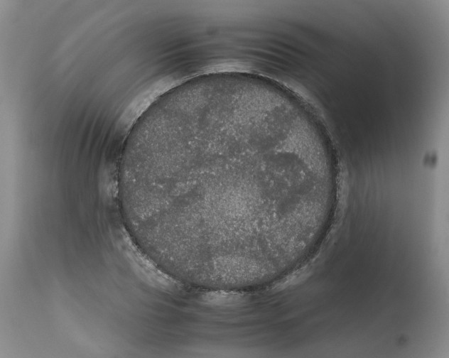 X0000112530929200909141243