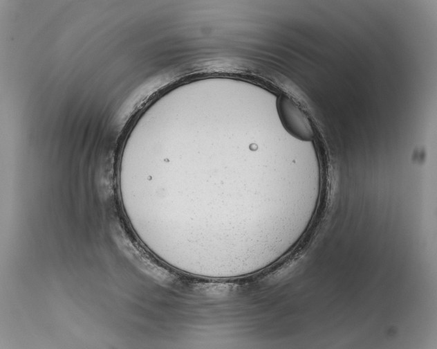 X0000112530930200909141243