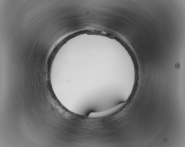 X0000112530931200909141243