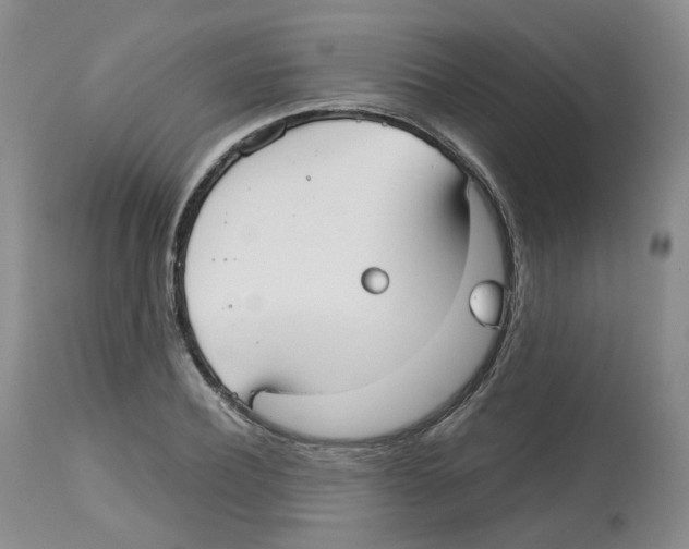 X0000112530932200909141243