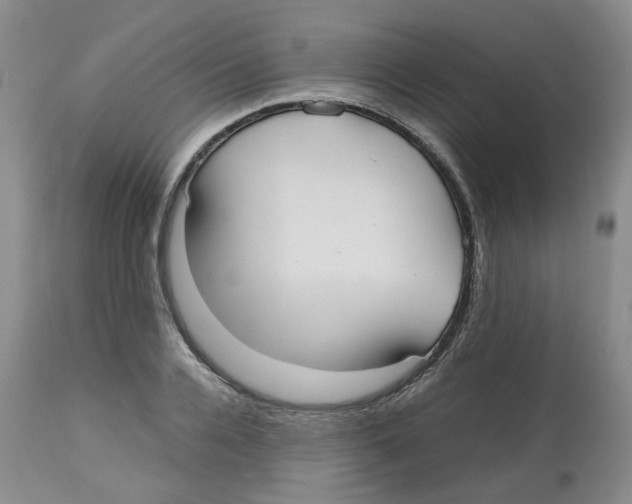 X0000112530936200909141243