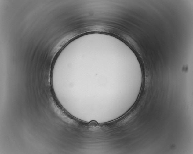 X0000112530938200909141243