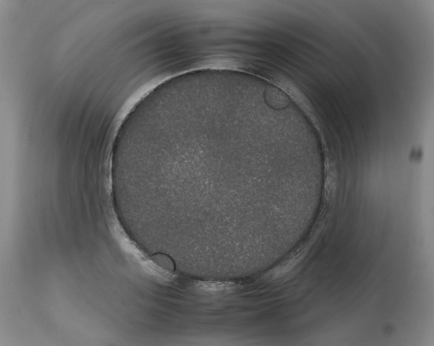 X0000112530939200909141243