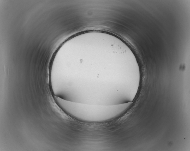 X0000112530940200909141243