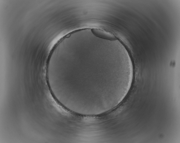 X0000112530944200909141243