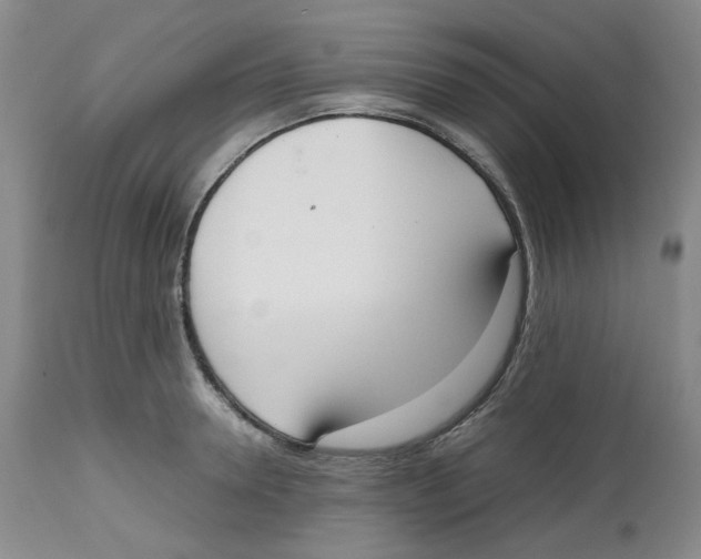 X0000112530946200909141243