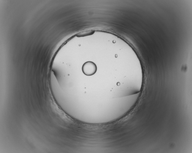 X0000112530948200909141243