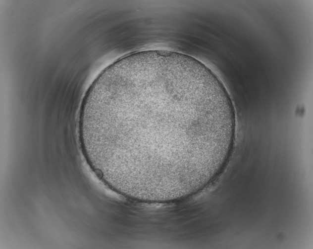 X0000112530949200909141244