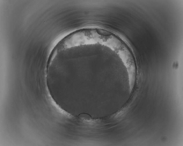 X0000112530951200909141244