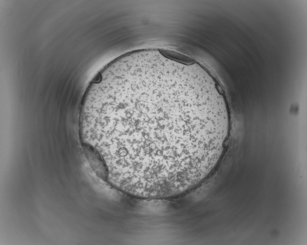 X0000112530952200909141244