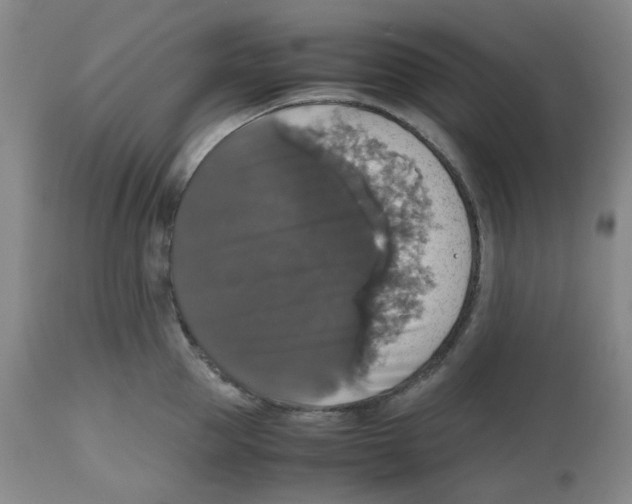 X0000112530953200909141244