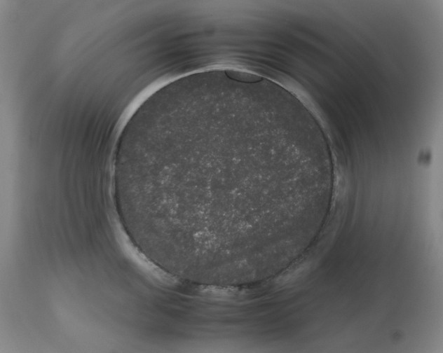 X0000112530955200909141244