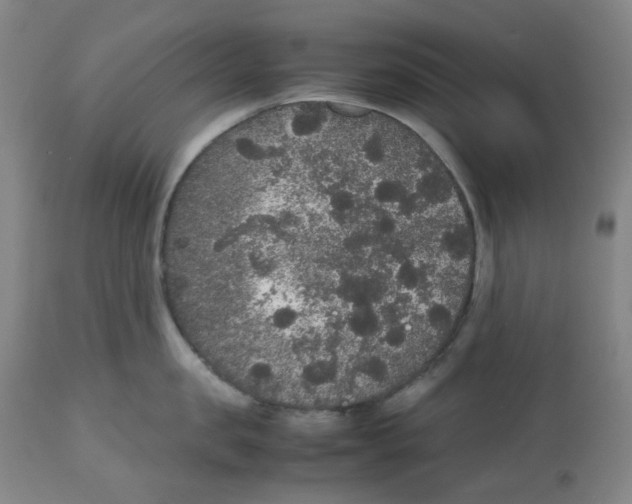 X0000112530957200909141244