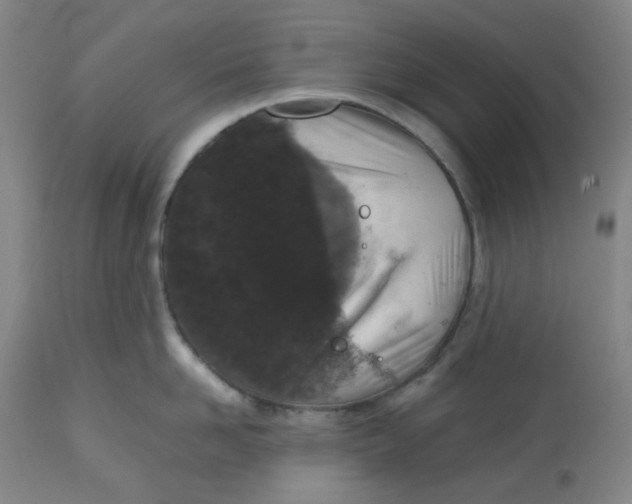 X0000112530958200909141244